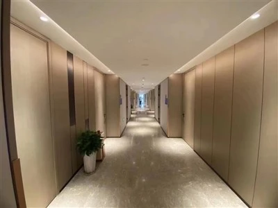 Tugann Painéil Bhalla veiníre Adhmaid Elegance Nádúrtha do Dhearadh Intí Nua-...